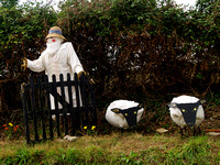 2006 Bisterne Scarecrow Festival