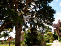 2006 Bisterne Scarecrow Festival